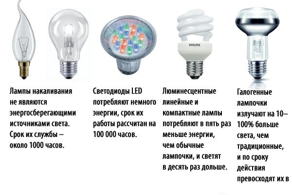 Какие лампы выбрать для дома?