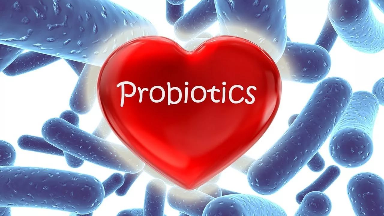 Картинки по запросу пробиотики