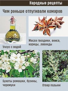 Народные средства от комаров