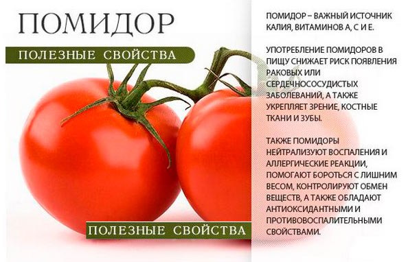 Польза красных помидор для человека