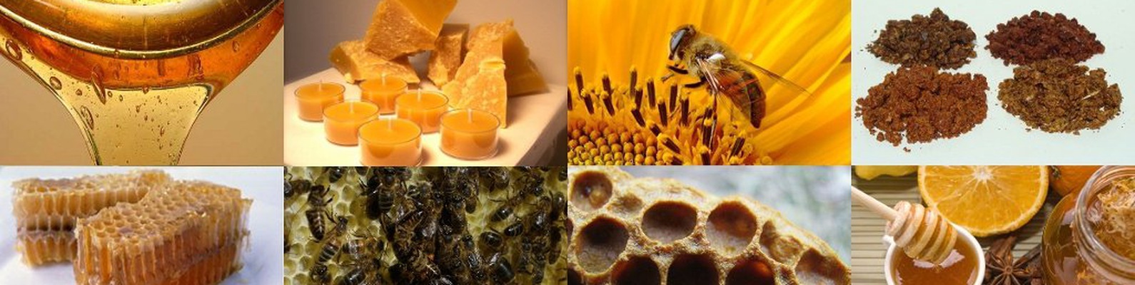 Продукты пчеловодства и их использование